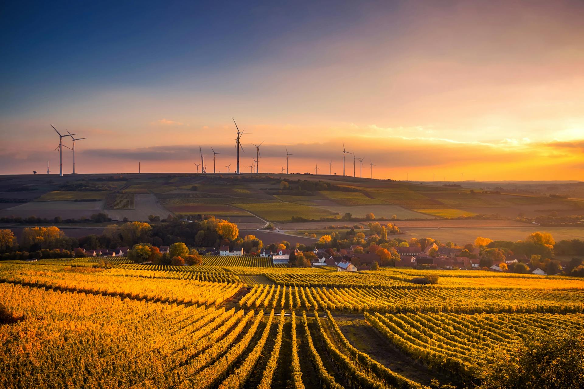 Résultats MAINTEX - secteur energie - performance